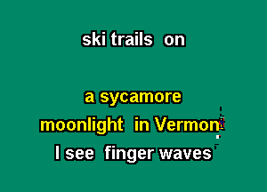 ski trails on

a sycamore
moonlight in Vermoni.

I see finger waves