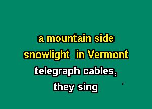 a mountain side

snowlight in Vermont
telegraph cables,

they sing