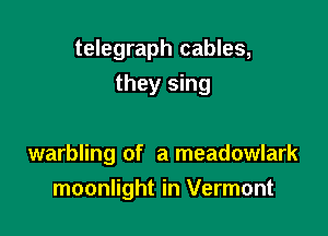 telegraph cables,

they sing

warbling of a meadowlark
moonlight in Vermont