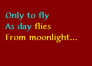 Only to fly
As day flies

From moonlight...