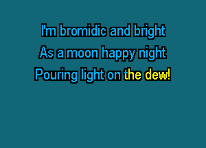 I'm bromidic and bright

As a moon happy night

Pouring light on the dew!