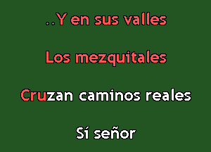 ..Y en sus valles

Los mezquitales

Cruzan caminos reales

Si serior