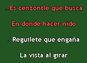 ..Es cenzontle que busca
En dc'mde hacer nido
..Reguilete que engar'ia

La vista al girar