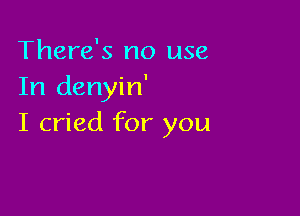 There's no use
In denyin'

I cried for you