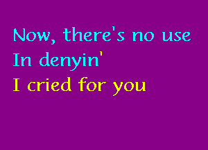 Now, there's no use
In denyin'

I cried for you