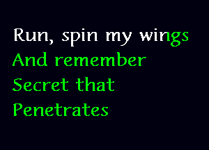 Run, spin my wings
And remember

Secret that
Penetrates