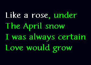 Like a rose, under
The April snow

I was always certain
Love would grow