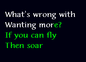 What's wrong with
Wanting more?

If you can fly
Then soar