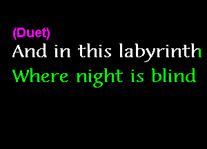 (Duet)
And in this labyrinth

Where night is blind