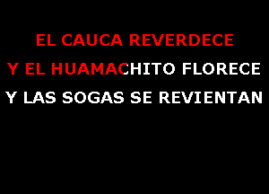 EL CAUCA REVERDECE
Y EL HUAMACHITO FLORECE
Y LAS SOGAS SE REVIENTAN
