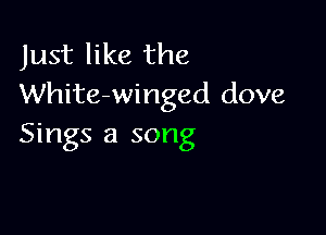 Just like the
White-winged dove

Sings a song