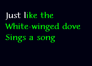 Just like the
White-winged dove

Sings a song