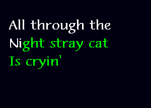 All through the
Night stray cat

Is cryin'