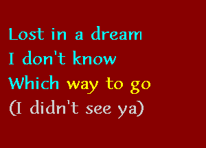 Lost in a dream
I don't know

Which way to go
(I didn't see ya)