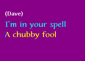(Dave)

I'm in your spell

A chubby fool