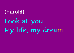 (Harold)
Look at you

My life, my dream