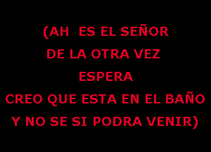 (AH ES EL SENOR
DE LA OTRA VEZ
ESPERA
CREO QUE ESTA EN EL BANo
Y NO SE SI PODRA VENIR)