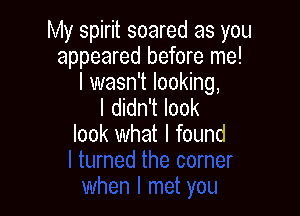 My spirit soared as you
appeared before me!

I wasn't looking,
I didn't look

look what I found
