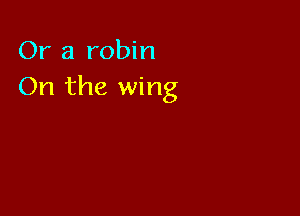 Or a robin
On the wing