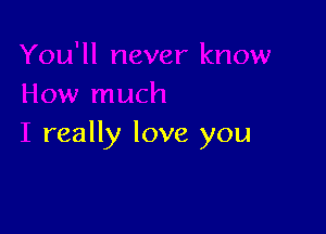 You'll never know
How much

I really love y(