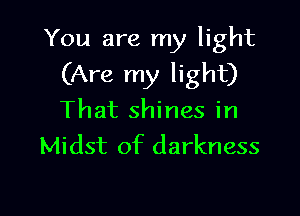 You are my light
(Are my light)

That shines in
Midst of darkness