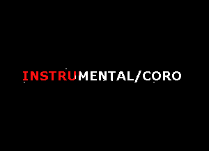 INSTRUMENTALICQRO