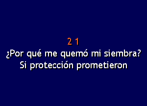 21

gPor que'a me quemd mi siembra?
Si proteccidn prometieron