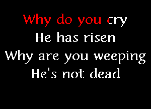 Why do you cry
He has risen

Why are you weeping
He's not dead