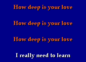 How deep is your love

How deep is your love

How deep is your love

I really need to learn