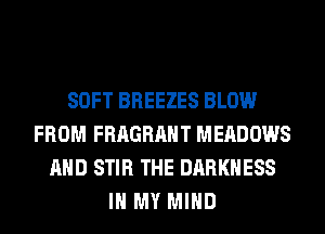 SOFT BREEZES BLOW
FROM FRAGRAHT MEADOWS
AND STIR THE DARKNESS
IN MY MIND