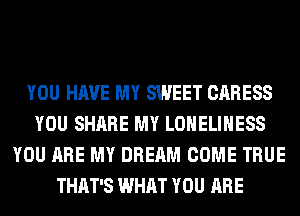 YOU HAVE MY SWEET CARESS
YOU SHARE MY LONELIHESS
YOU ARE MY DREAM COME TRUE
THAT'S WHAT YOU ARE