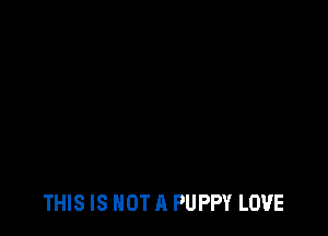 THIS IS NOT A PUPPY LOVE