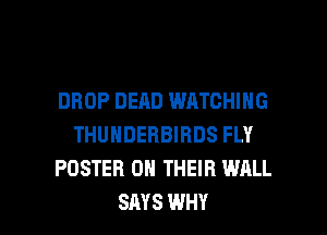 DROP DEAD WATCHING
THUNDEHBIRDS FLY
POSTER ON THEIR WALL

SAYS WHY I