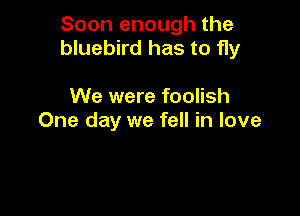 Soon enough the
bluebird has to fly

We were foolish
One day we fell in love