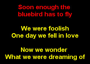 Soon enough the
bluebird has to fly

We were foolish
One day we fell in love

Now we wonder
What we were dreaming of