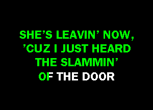 SHES LEAVIW NOW,
CUZ I JUST HEARD

THE SLAMMIN,
OF THE DOOR