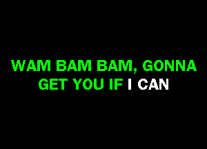 WAM BAM BAM, GONNA

GET YOU IF I CAN