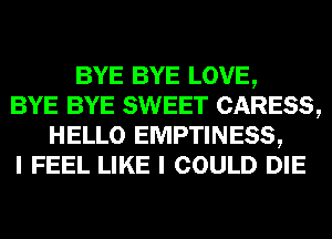 BYE BYE LOVE,
BYE BYE SWEET CARESS,
HELLO EMPTINESS,
I FEEL LIKE I COULD DIE