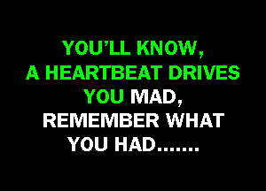 YOU1L KNOW,
A HEARTBEAT DRIVES
YOU MAD,
REMEMBER WHAT
YOU HAD .......