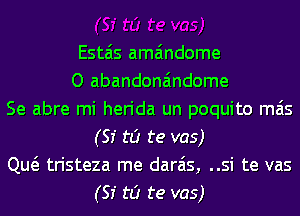 Estais ama'mdome
O abandona'mdome
Se abre mi herida un poquito mas
(51' to te vas)
Qw tristeza me darais, ..si te vas
(51' to te vas)