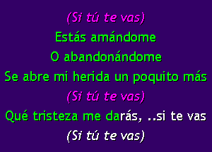 Estais ama'mdome
O abandona'mdome
Se abre mi herida un poquito mas

Qw tristeza me darais, ..si te vas
(51' to te vas)