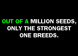 OUT OF A MILLION SEEDS,
ONLY THE STRONGEST
ONE BREEDS.