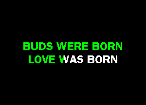 BUDS WERE BORN

LOVE WAS BORN
