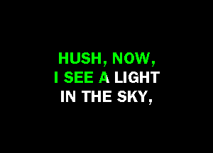 HUSH, NOW,

I SEE A LIGHT
IN THE SKY,
