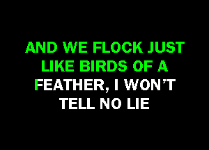 AND WE FLOCK JUST
LIKE BIRDS OF A
FEATHER, I WONT
TELL NO LIE

g