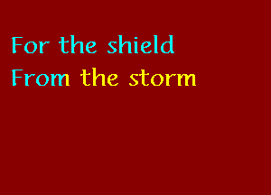 For the shield
From the storm