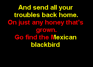 And send all your
troubles back home.
Oh just any honey that's
grown.

Go find the Mexican
blackbird