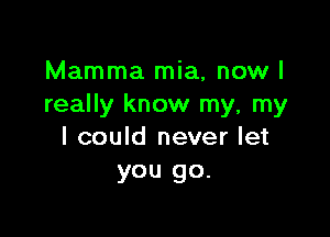 Mamma mia, now I
really know my, my

I could never let
you go.