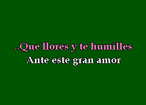 ..Que llores y te llumjlles

Ante este gran amor