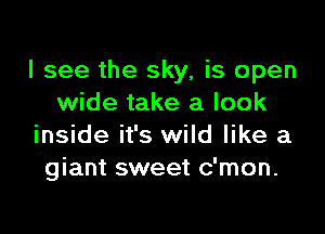 I see the sky, is open
wide take a look

inside it's wild like a
giant sweet c'mon.